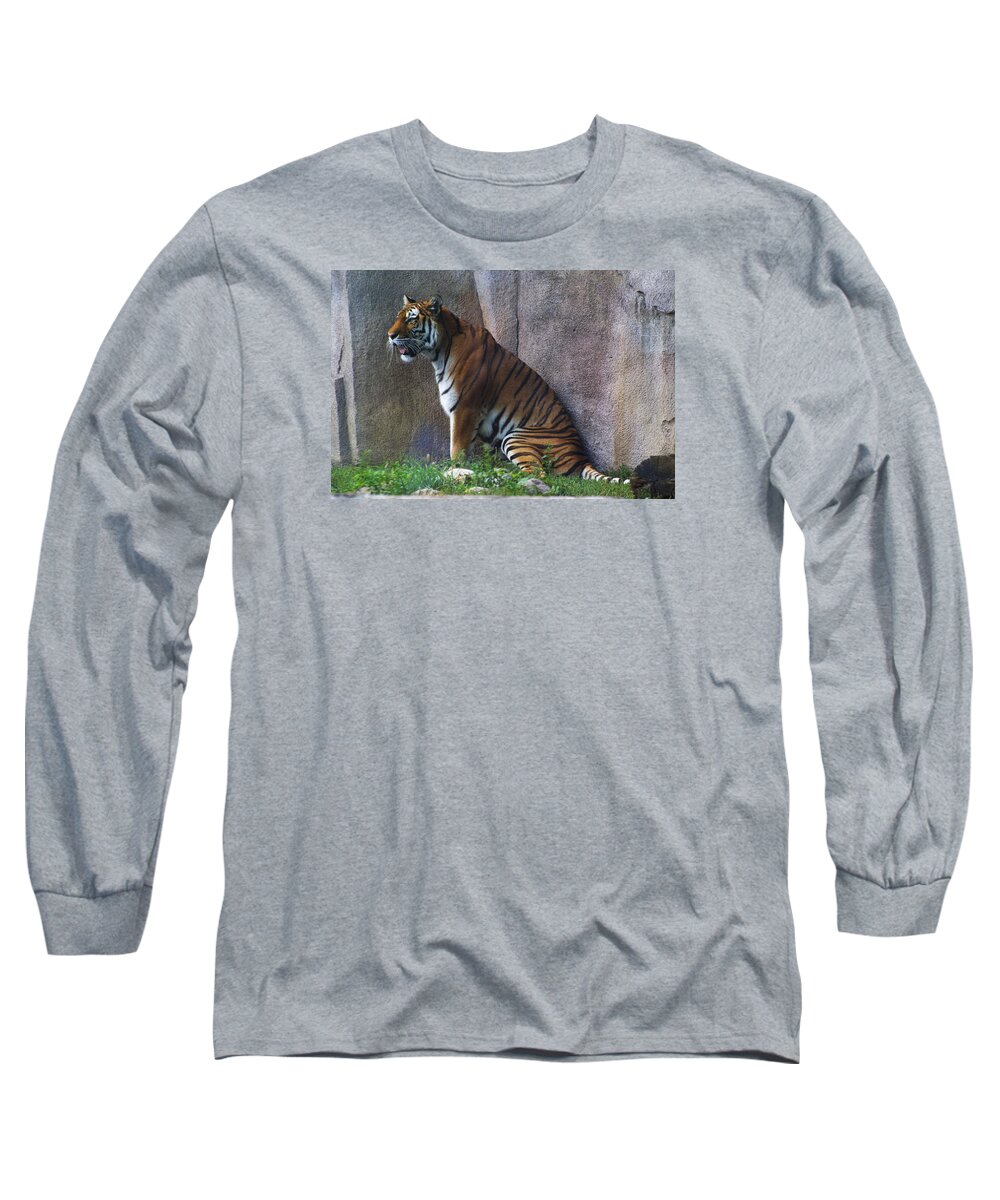 Zoo Long Sleeve T-Shirt featuring the photograph Zoo Scapes #24 by Jean Wolfrum