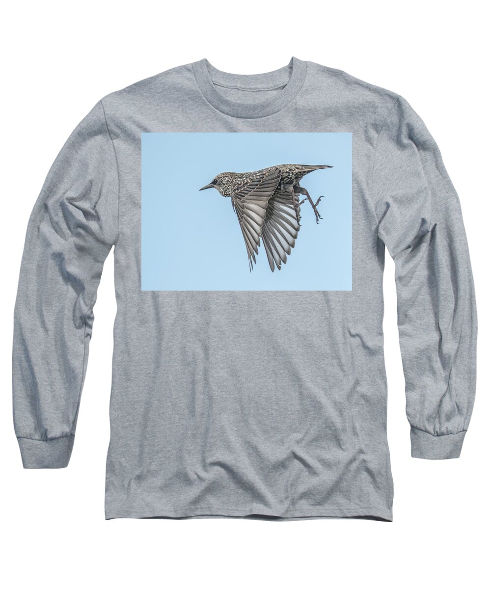 Starling Long Sleeve T-Shirt featuring the photograph European Starling #3 by Tam Ryan