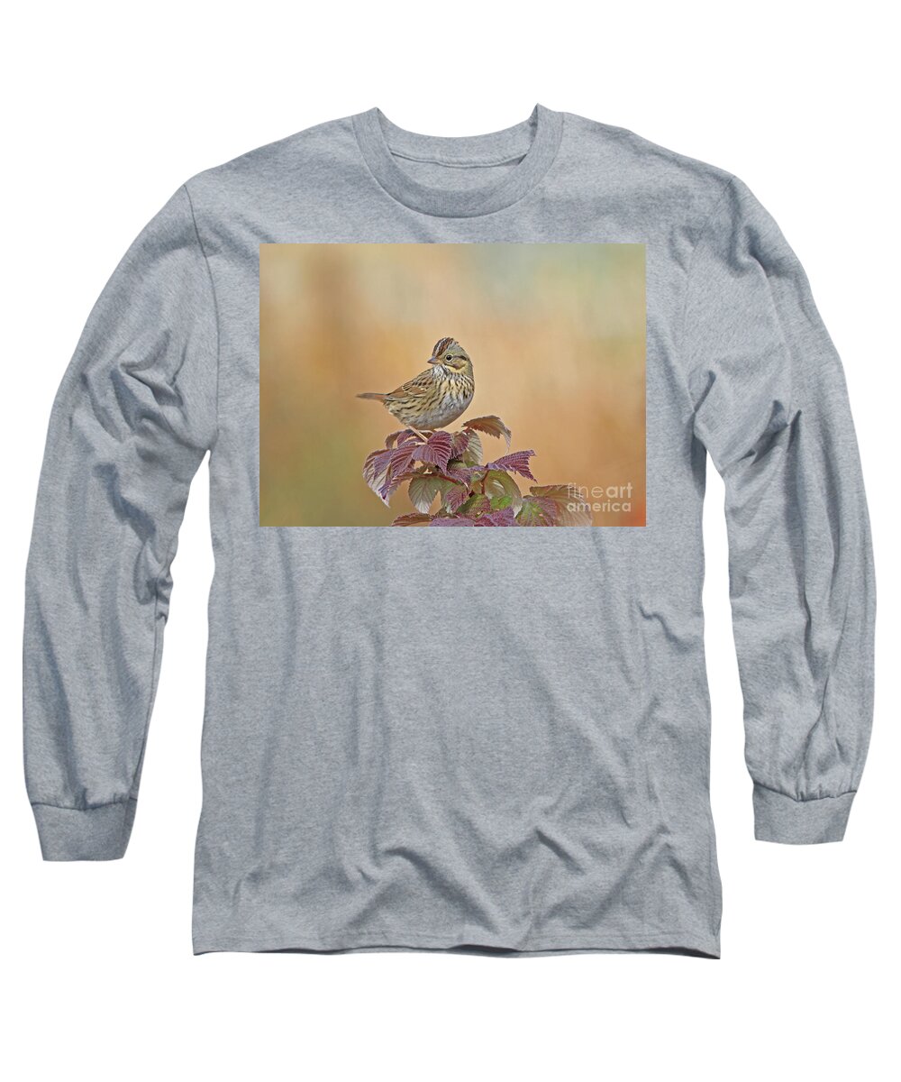 Lincoln's Sparrow Long Sleeve T-Shirt featuring the photograph Lincoln's Sparrow #5 by Gary Wing