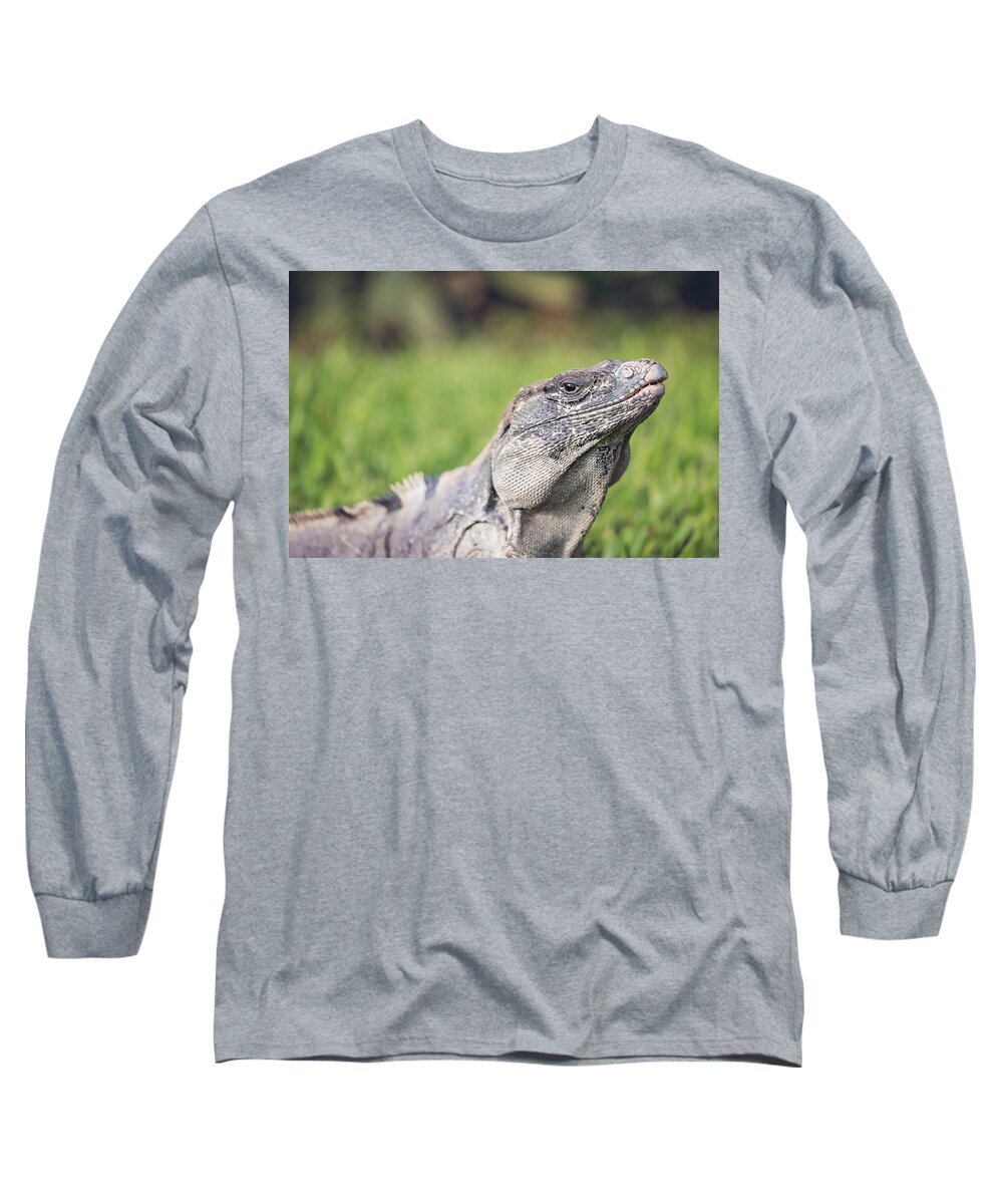 Animal Long Sleeve T-Shirt featuring the photograph Iguana #6 by Peter Lakomy