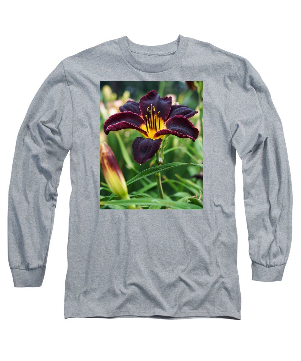  Tiger Lily Long Sleeve T-Shirt featuring the photograph A Dark Purple Tiger Lilly by M Three Photos