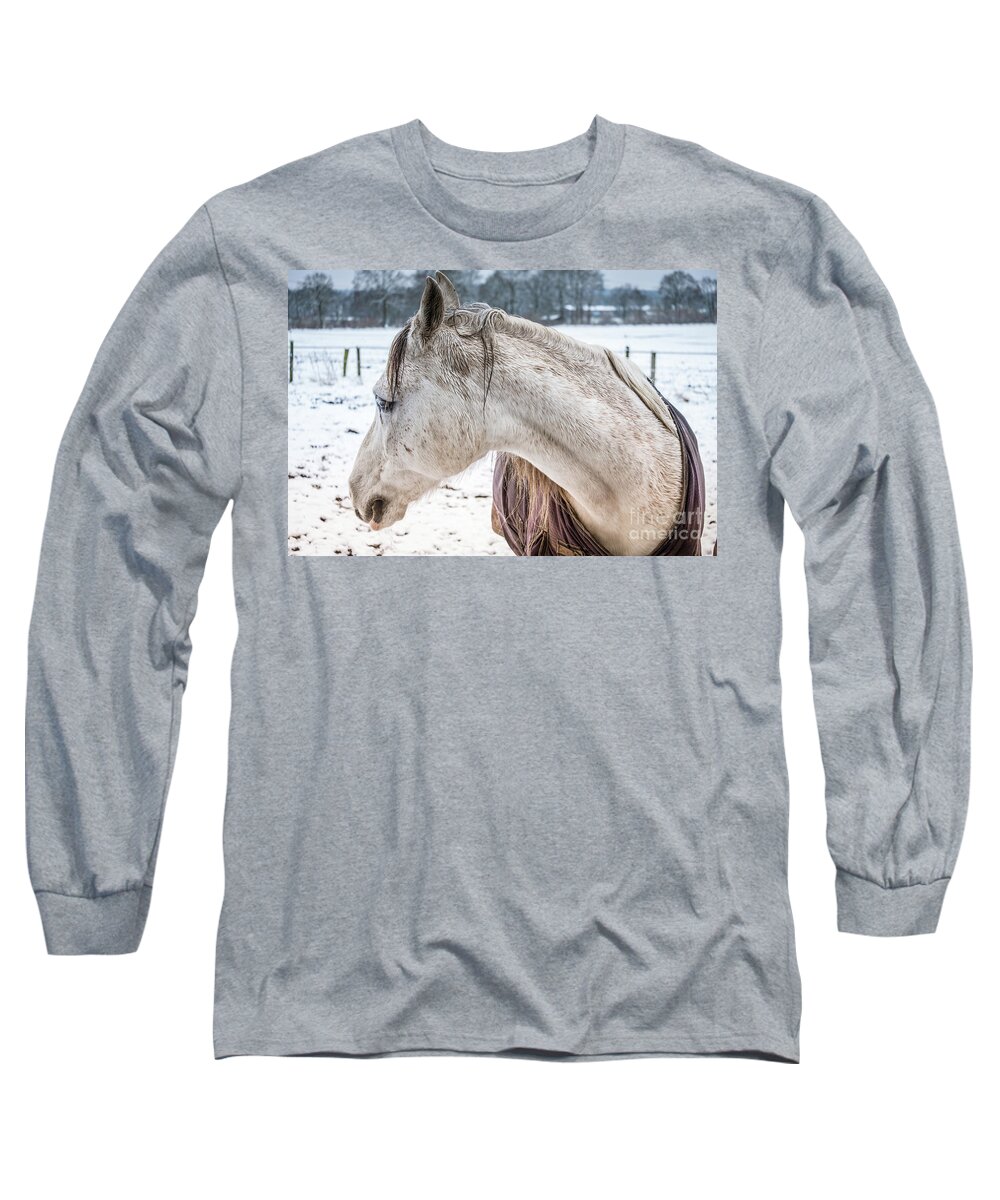 A Girlfriend Of The Horse Amigo By Marina Usmanskaya Long Sleeve T-Shirt featuring the photograph A Girlfriend of the horse Amigo by Marina Usmanskaya