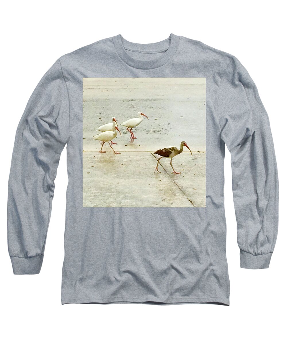 Egrets Long Sleeve T-Shirt featuring the photograph A Step Ahead by Suzanne Udell Levinger