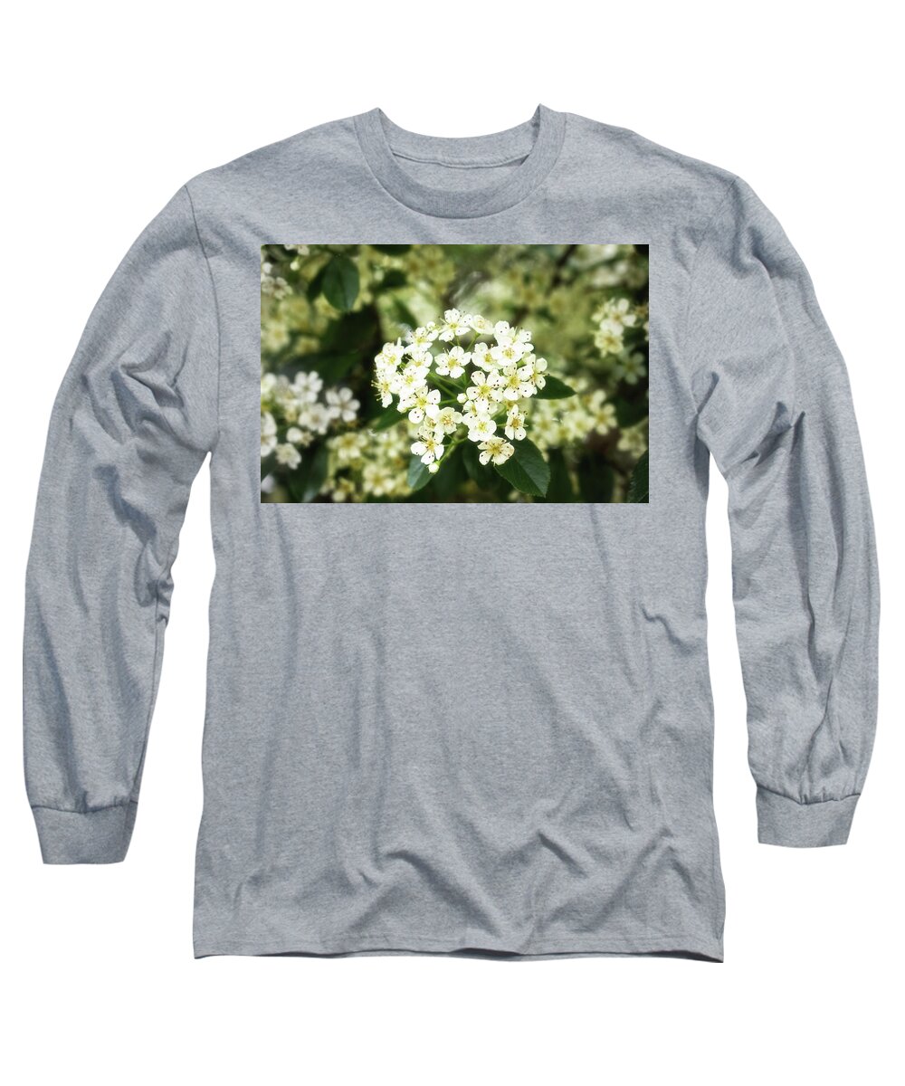 5/8/12 Long Sleeve T-Shirt featuring the photograph A Thousand Blossoms 3x2 by Louise Lindsay