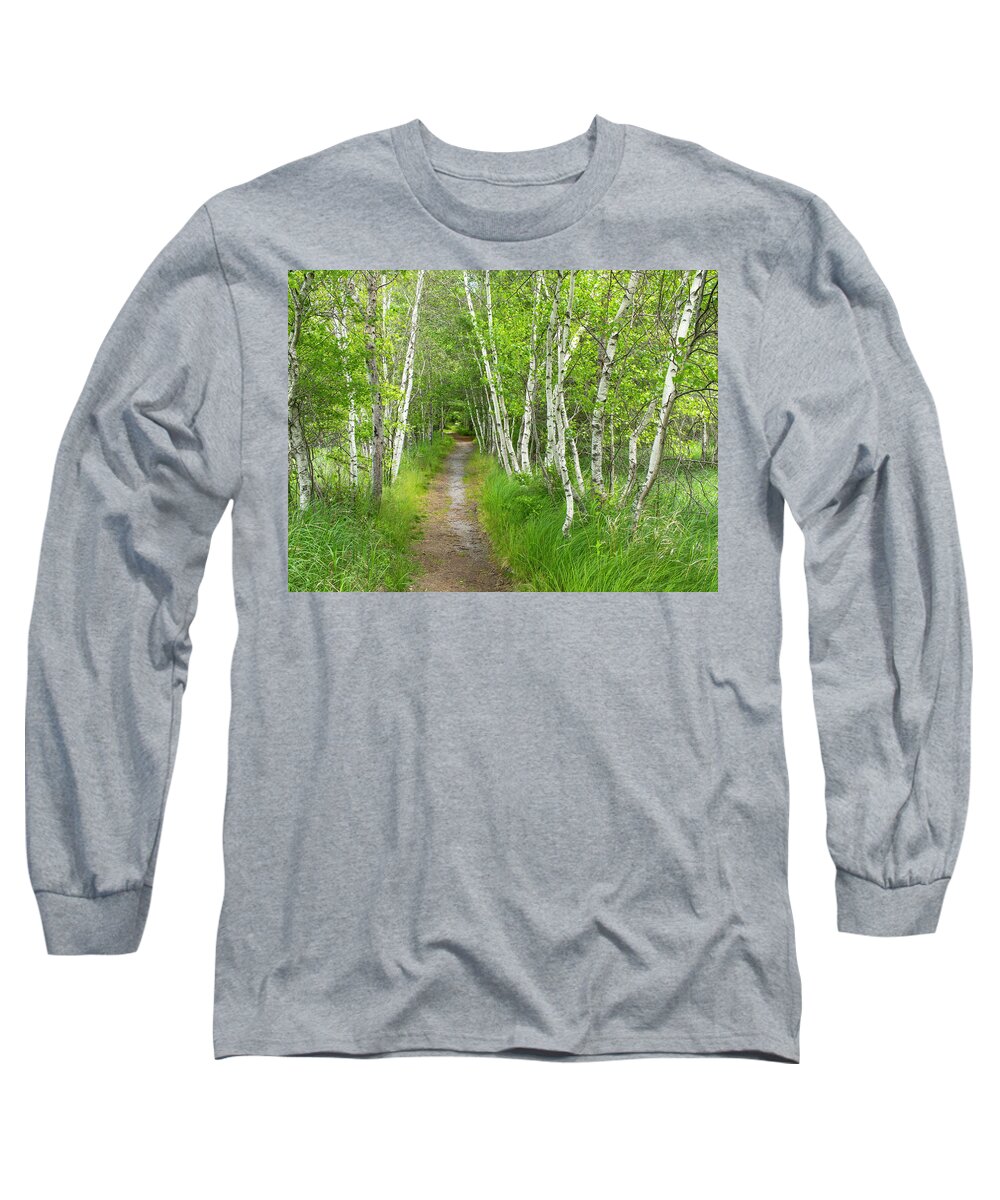 Acadia National Park Long Sleeve T-Shirt featuring the photograph A Walk in the Woods by Holly Ross