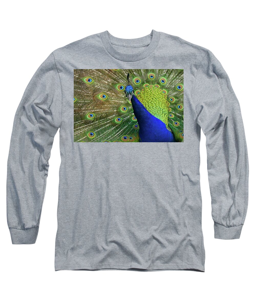 Peacock Long Sleeve T-Shirt featuring the photograph Admiration by Evelyn Tambour