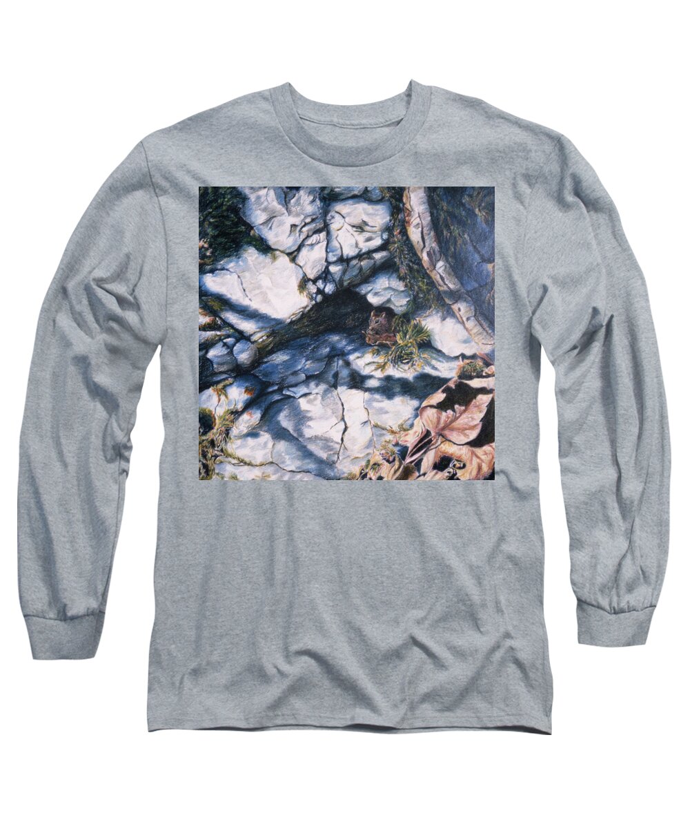 Chipmunk Long Sleeve T-Shirt featuring the painting Afternoon Snack by Susan Sarabasha