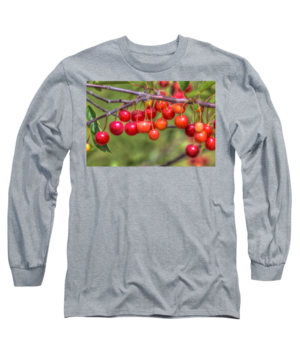 Door County Long Sleeve T-Shirt featuring the photograph Almost Ripe by Paul Schultz
