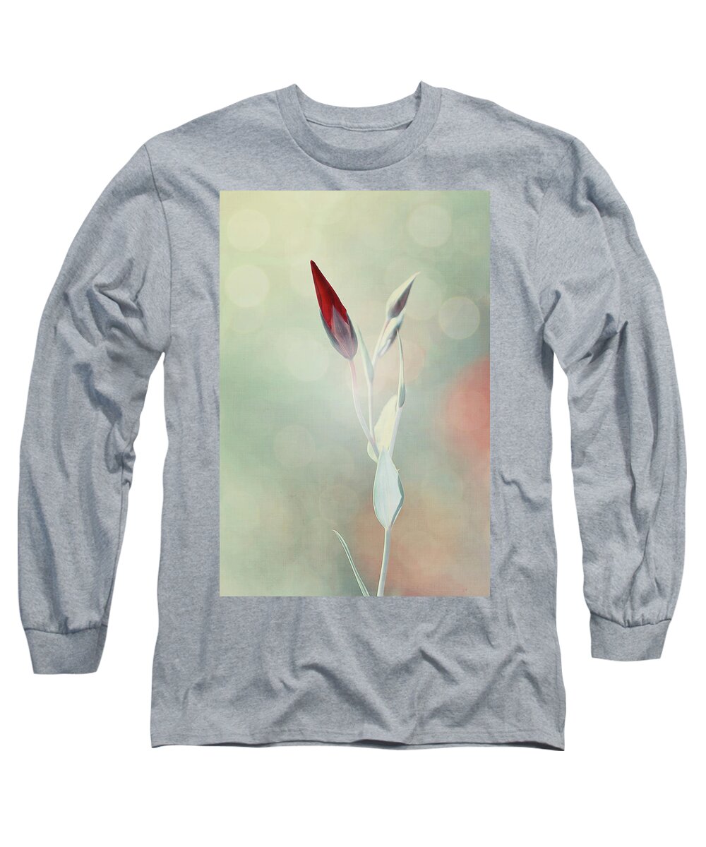 Flower Long Sleeve T-Shirt featuring the photograph Alone in the Light by Philippe Sainte-Laudy