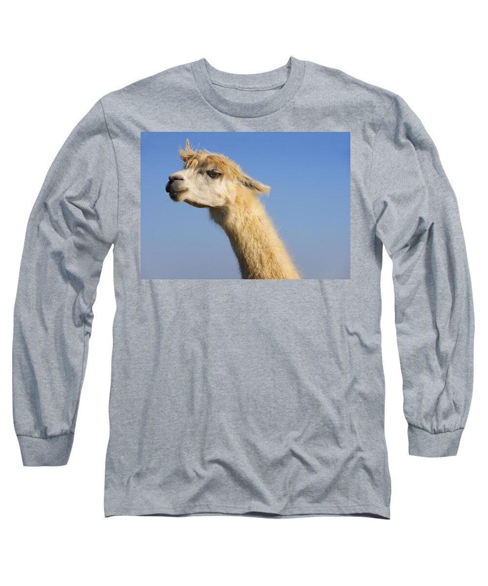 Skip Hunt Long Sleeve T-Shirt featuring the photograph Alpaca by Skip Hunt