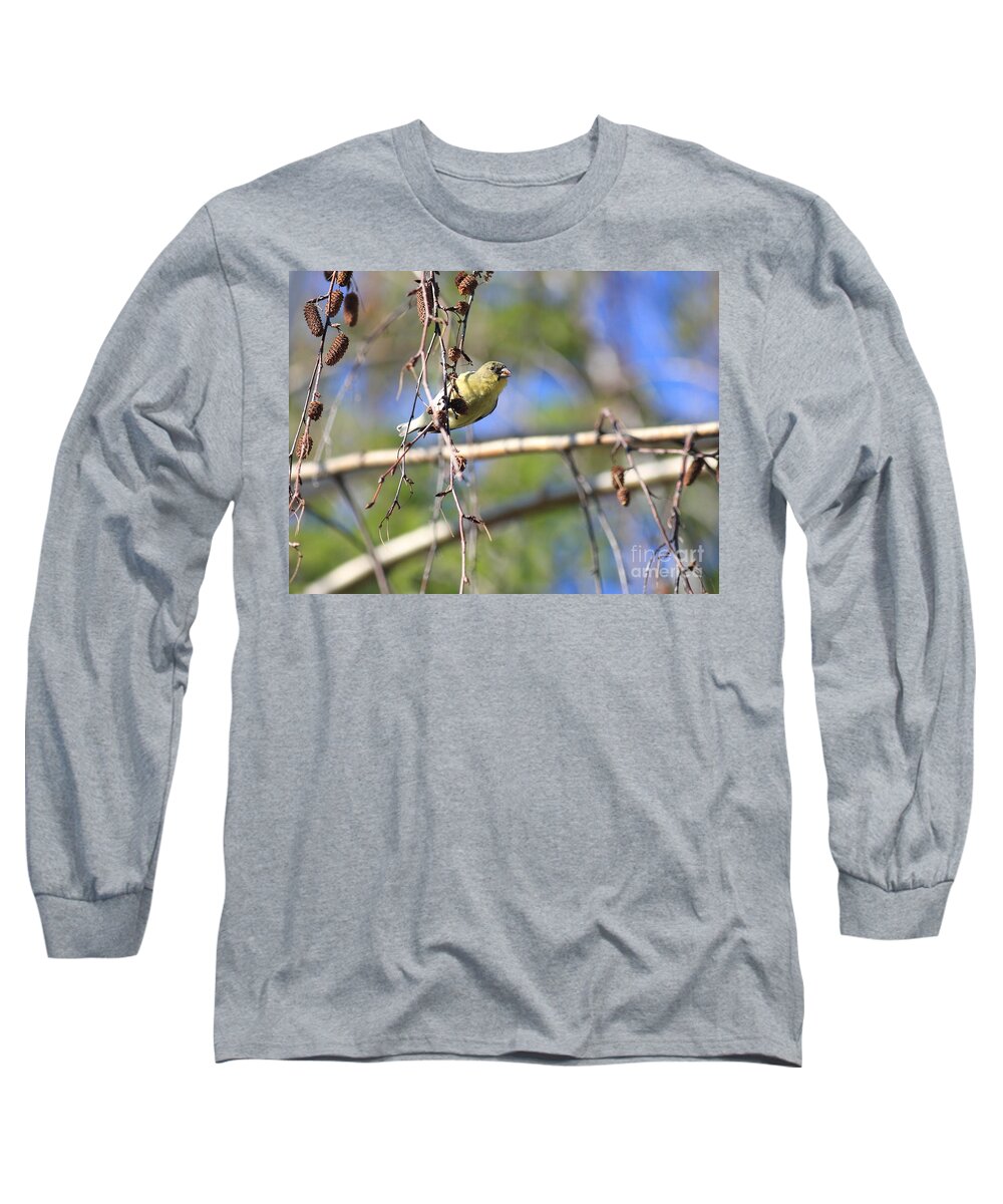Wildlife Long Sleeve T-Shirt featuring the photograph American Goldfinch by Wingsdomain Art and Photography