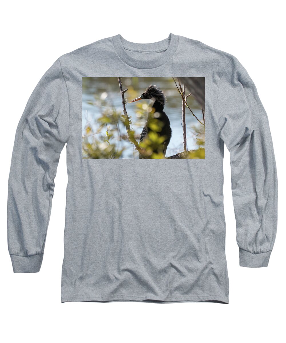 Anhinga Long Sleeve T-Shirt featuring the photograph Anhinga 3 March 2018 by D K Wall