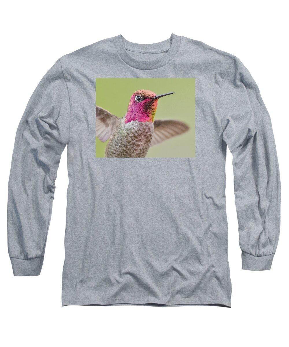 Bird Long Sleeve T-Shirt featuring the photograph Anna's Hummingbird Closup In Flight by William Bitman