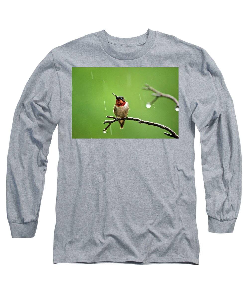 Hummingbird Long Sleeve T-Shirt featuring the photograph Another Rainy Day Hummingbird by Christina Rollo