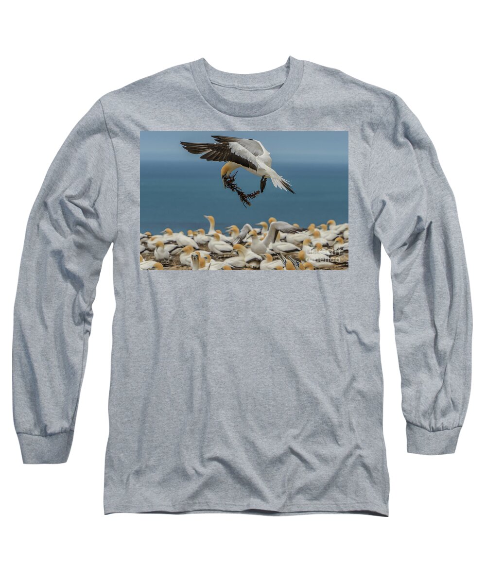 Bird Long Sleeve T-Shirt featuring the photograph Applying the Brakes by Werner Padarin