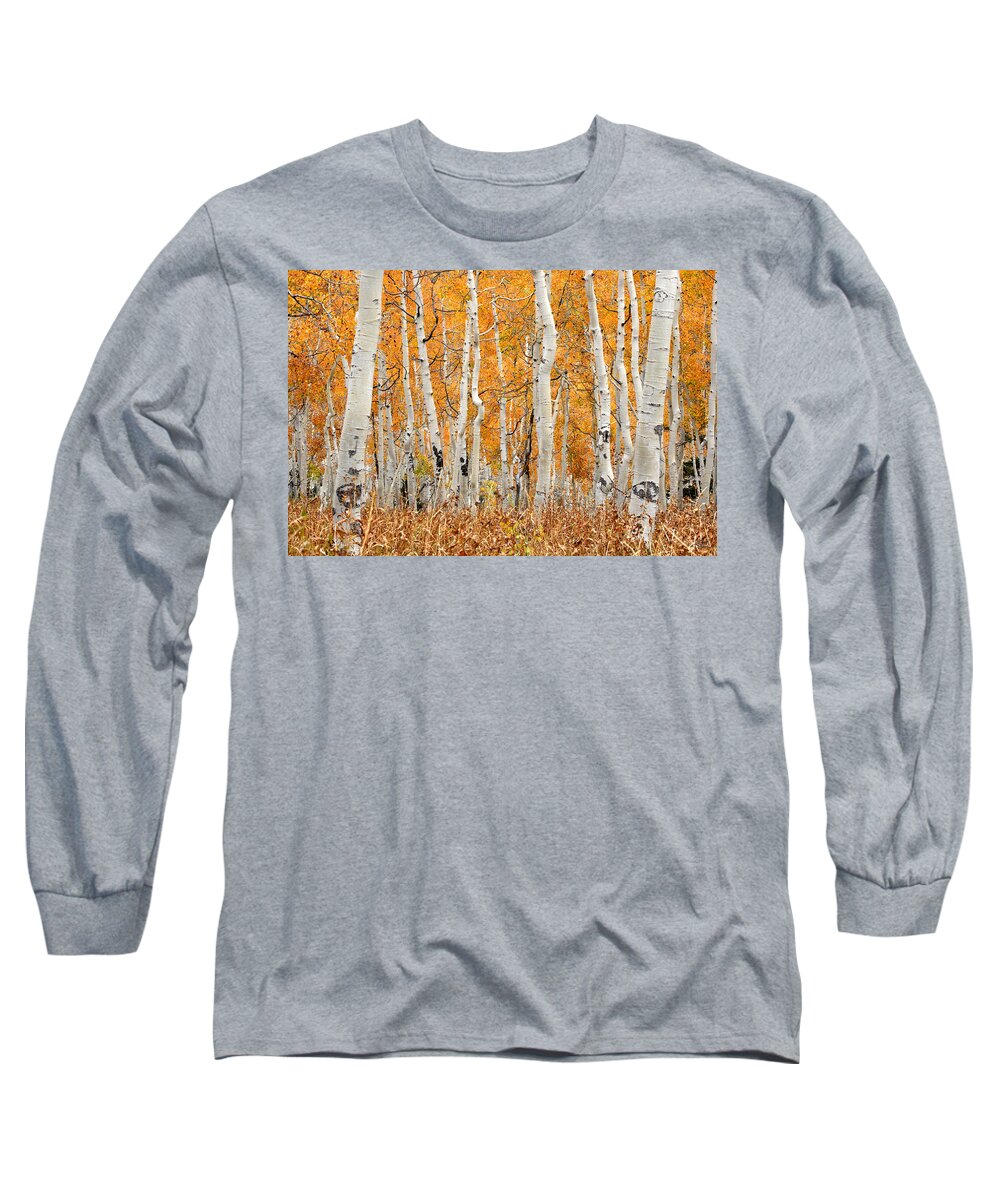 Aspen Long Sleeve T-Shirt featuring the photograph Aspen Forest in Fall by Brett Pelletier