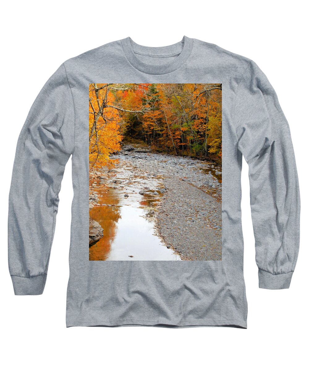 Autumn Creek Long Sleeve T-Shirt featuring the painting Autumn creek 9 by Jeelan Clark