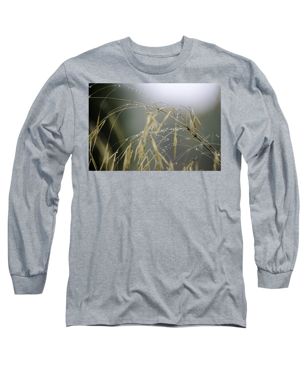 Autumn Long Sleeve T-Shirt featuring the photograph Autumn dew on grass by Spikey Mouse Photography