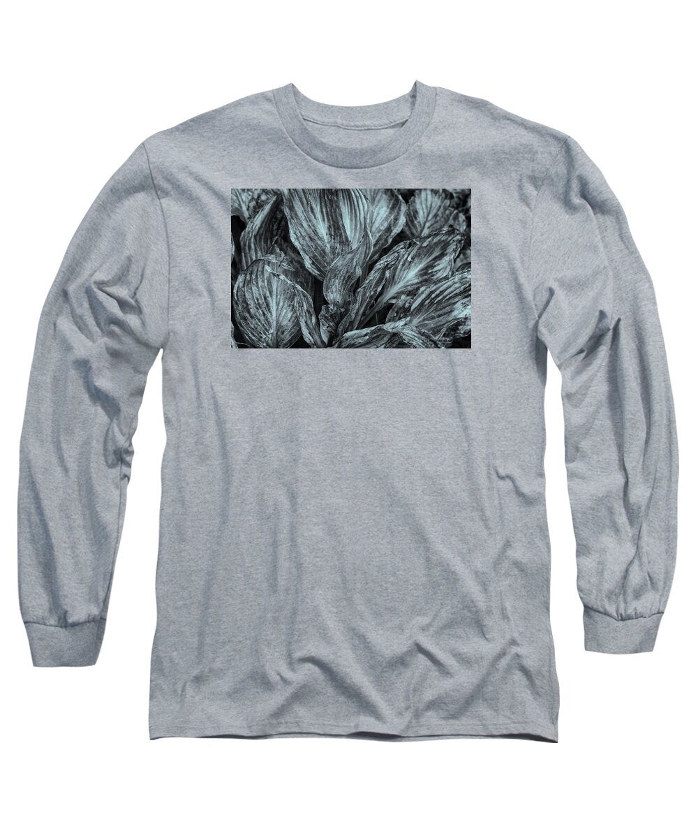 Cone Flowers Long Sleeve T-Shirt featuring the photograph Autumn Hostas In Black and White by Tom Singleton