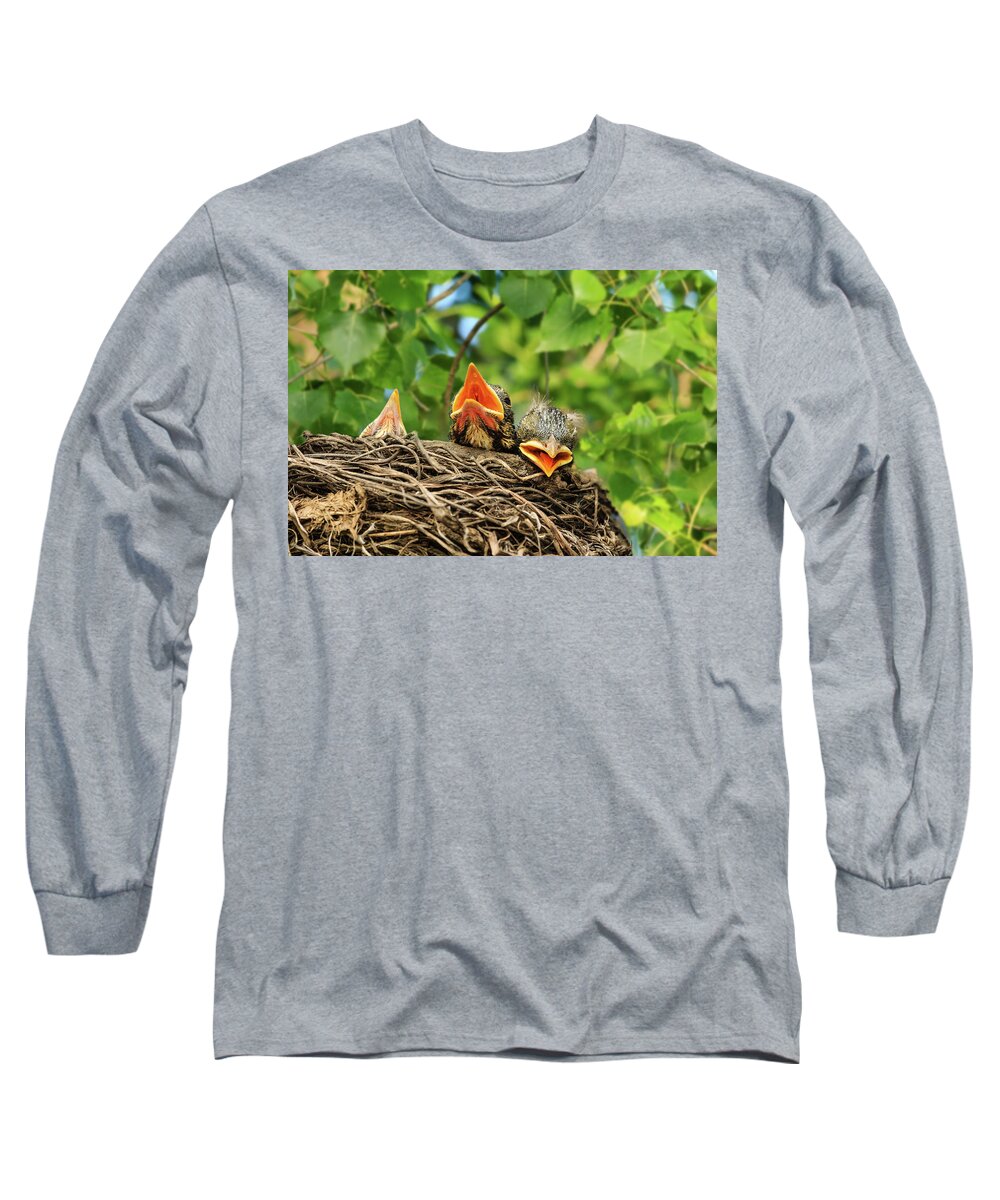 Robins Long Sleeve T-Shirt featuring the photograph Baby Robins Tired of Waiting by Joni Eskridge
