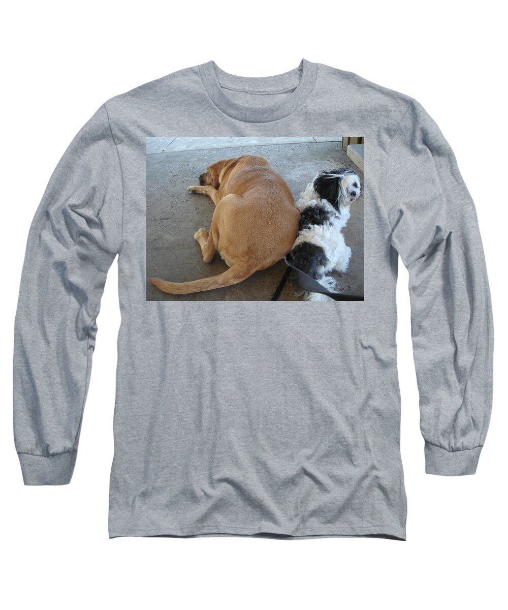 Bloodhound Long Sleeve T-Shirt featuring the photograph Back to Back by Val Oconnor