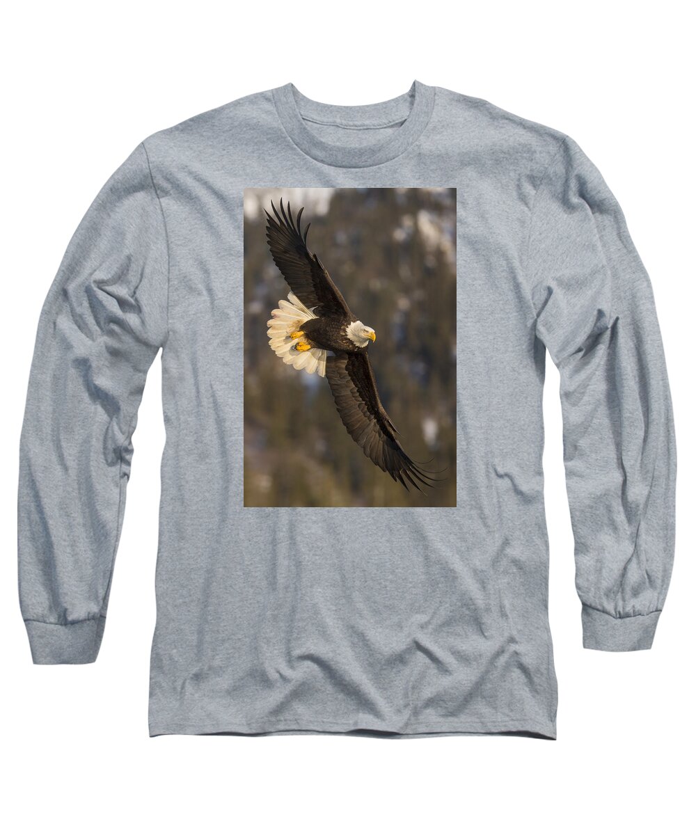 Alaska Long Sleeve T-Shirt featuring the photograph Banking Bald Eagle by D Robert Franz