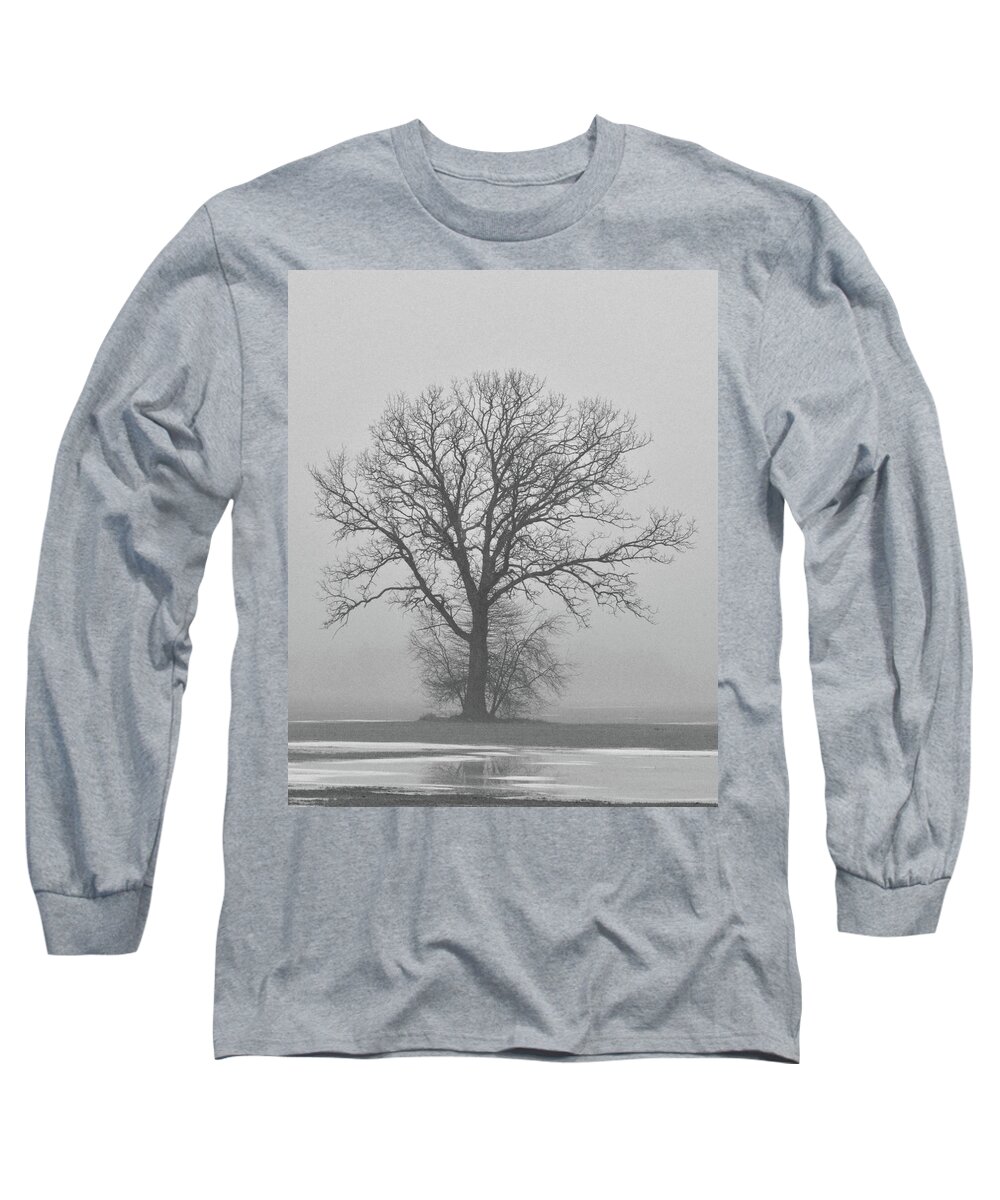 Tree Long Sleeve T-Shirt featuring the photograph Bare Tree in Fog by Nancy Landry