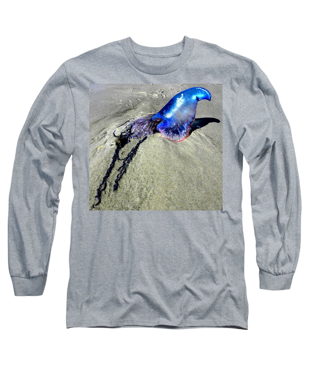 Jellyfish Long Sleeve T-Shirt featuring the photograph Beached Jellyfish 000 by Christopher Mercer