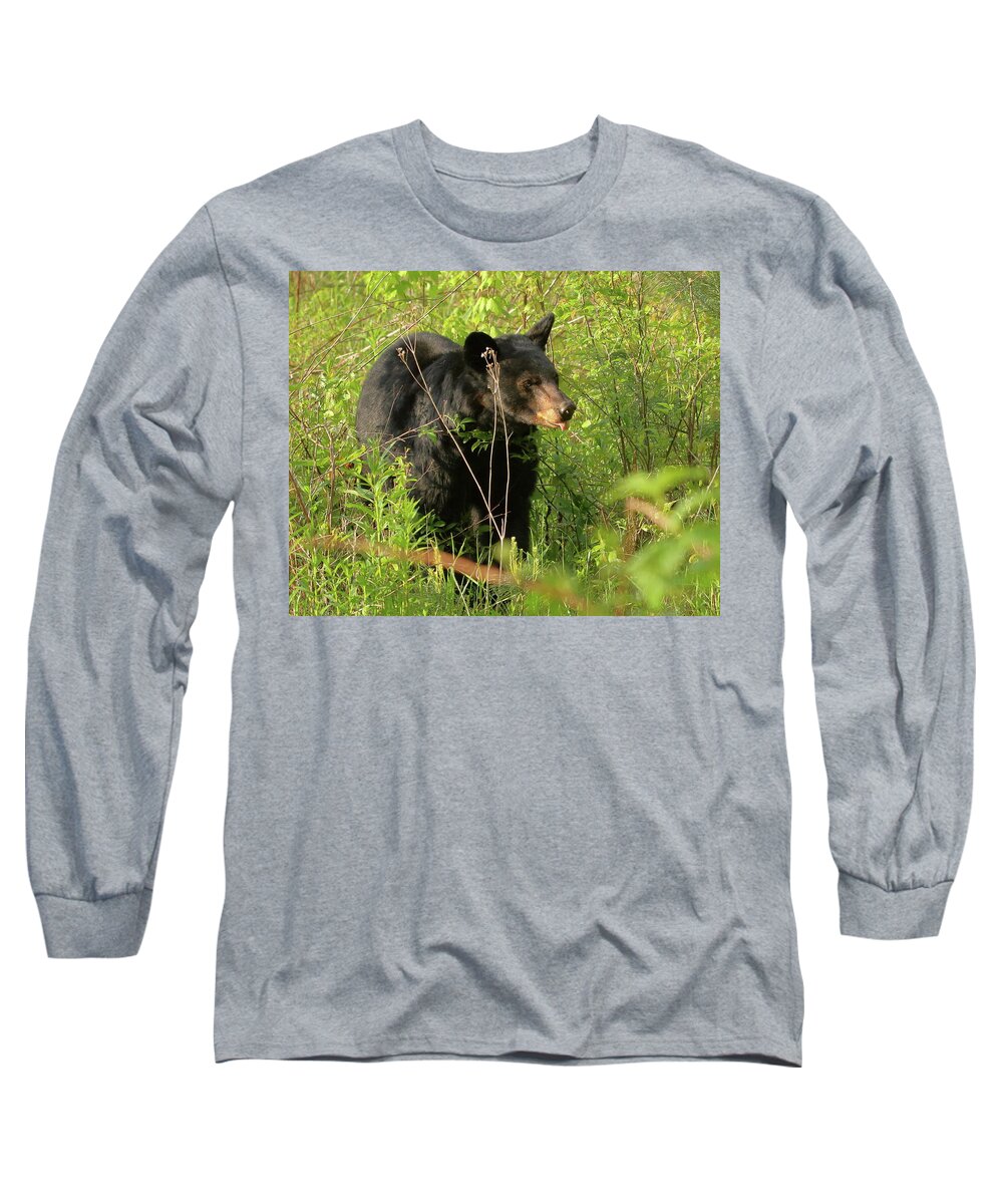 American Black Bear Long Sleeve T-Shirt featuring the photograph Bear in the grass by Coby Cooper