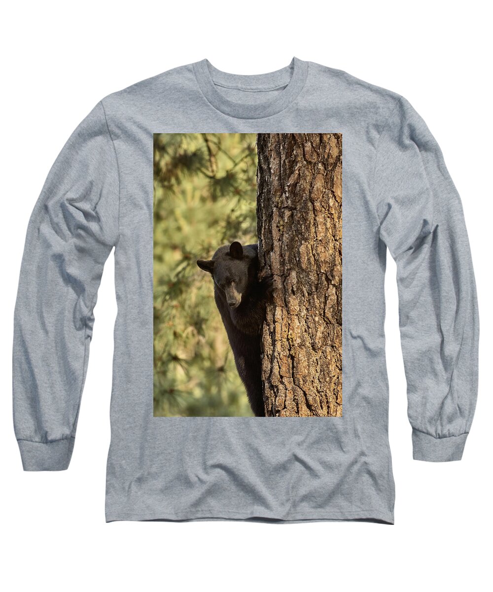Bear Long Sleeve T-Shirt featuring the photograph Bear3 by Loni Collins