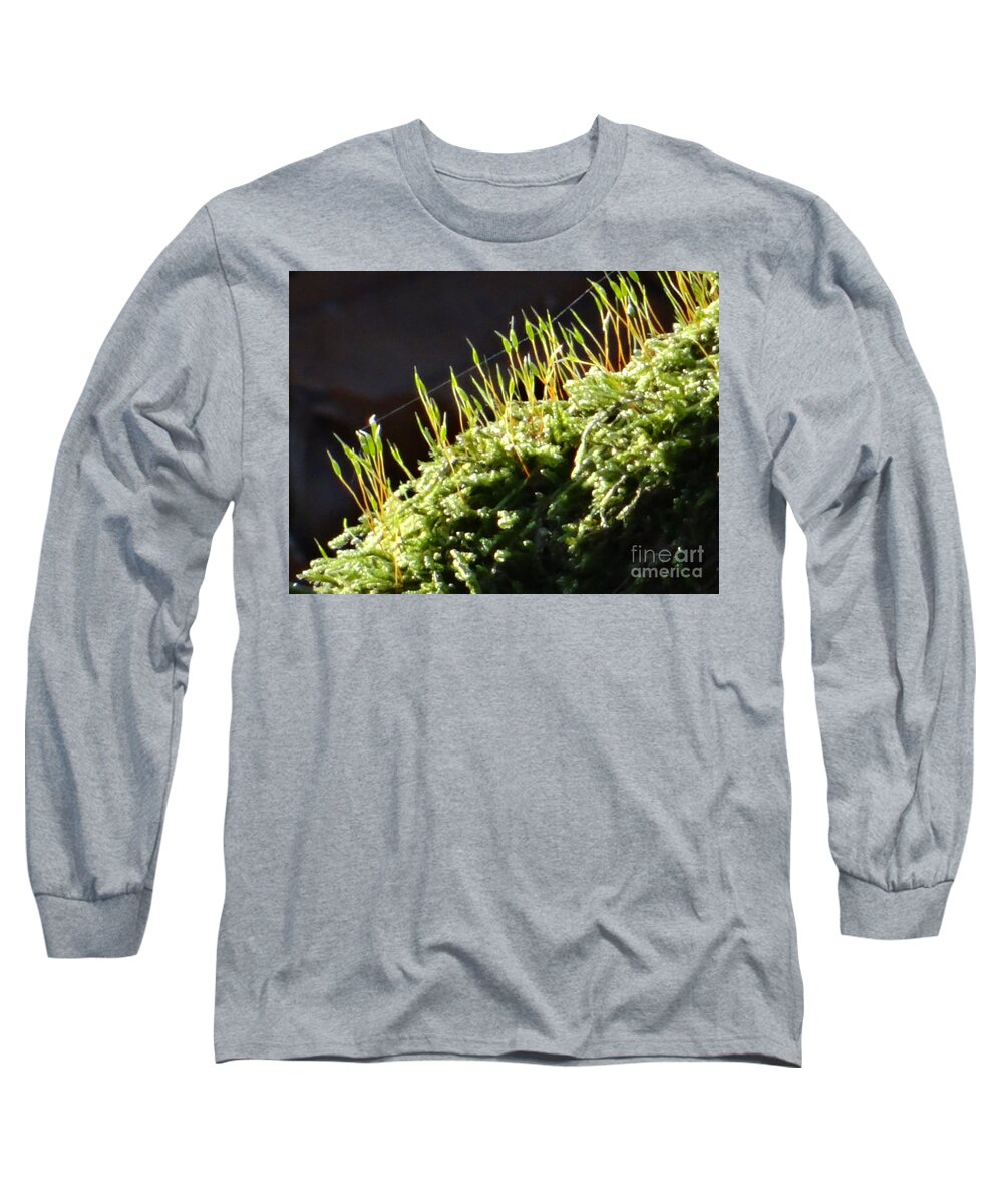 Moss Long Sleeve T-Shirt featuring the photograph Beautiful moss in sunlight by Karin Ravasio