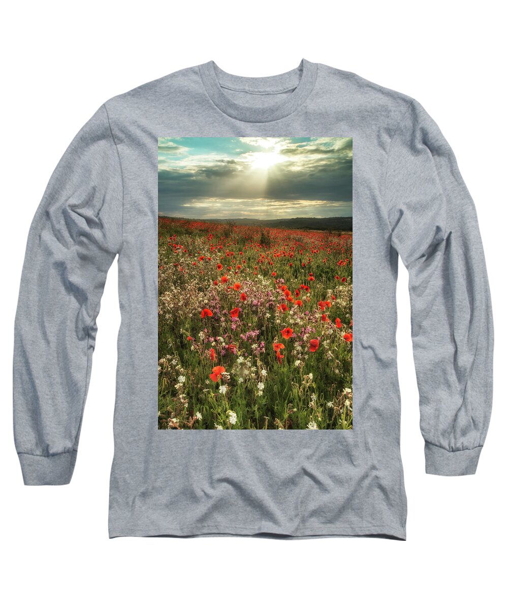 Agricultural Long Sleeve T-Shirt featuring the photograph Beautiful poppy field landscape in Summer sunset light on South by Matthew Gibson