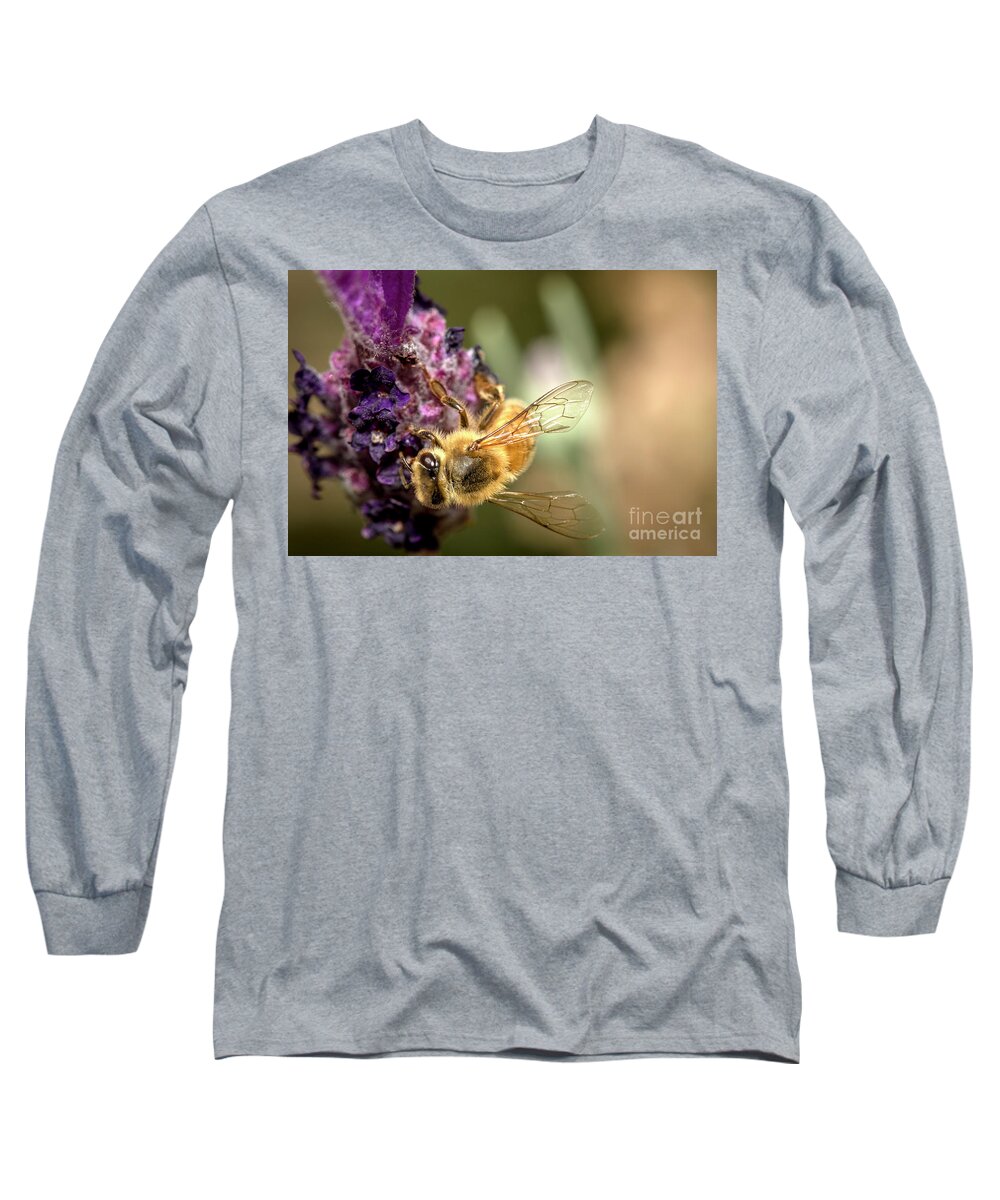 2017 Long Sleeve T-Shirt featuring the photograph Bee on Lavender by Shawn Jeffries