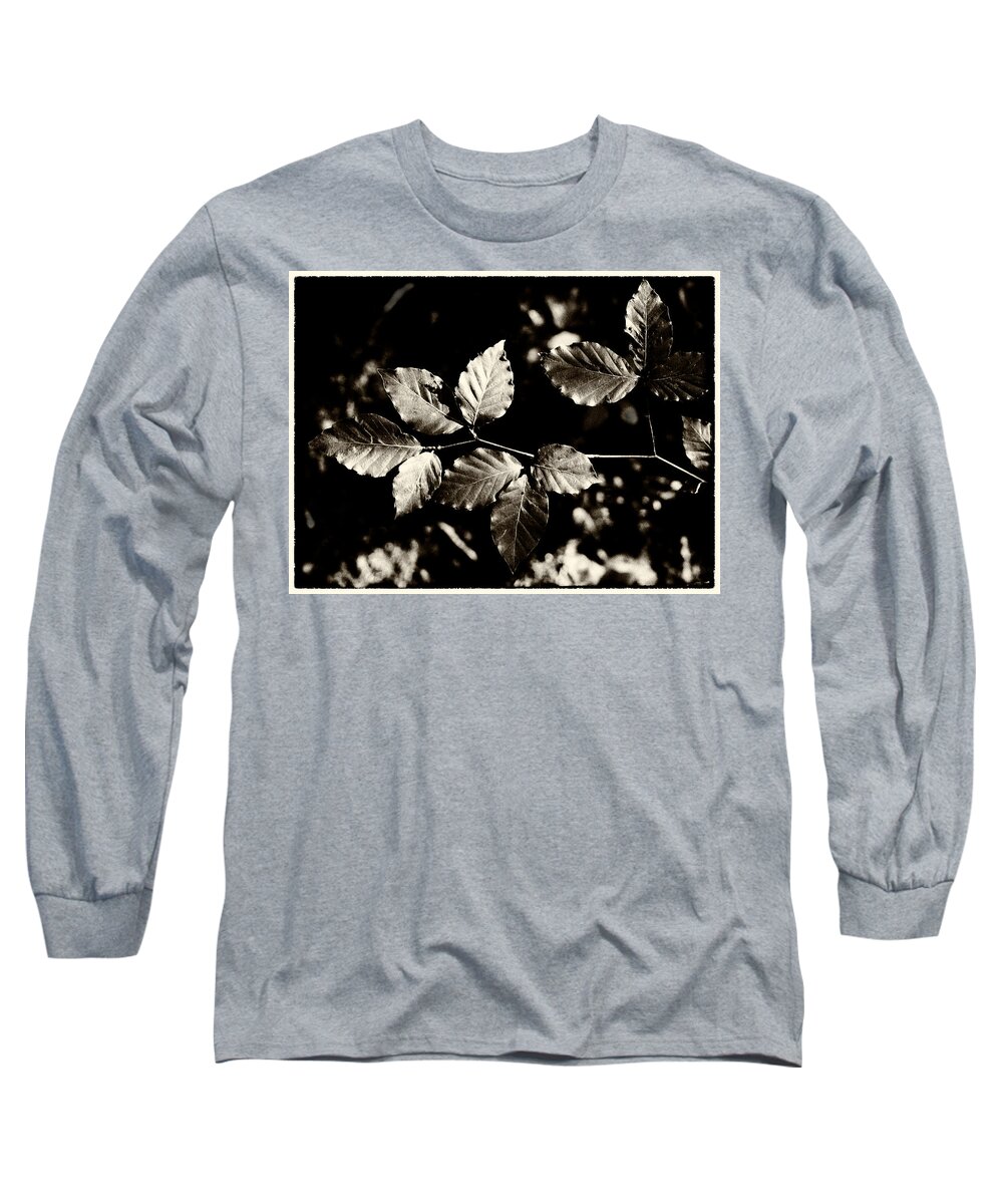 Leaves Long Sleeve T-Shirt featuring the photograph Beech Leaves by Mark Egerton