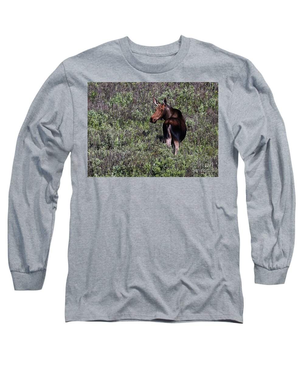 Moose Long Sleeve T-Shirt featuring the photograph Belly Deep in Sage by Marty Fancy