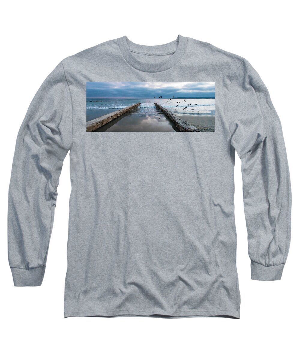 Coronado Long Sleeve T-Shirt featuring the photograph Bird Flight by Dan McGeorge
