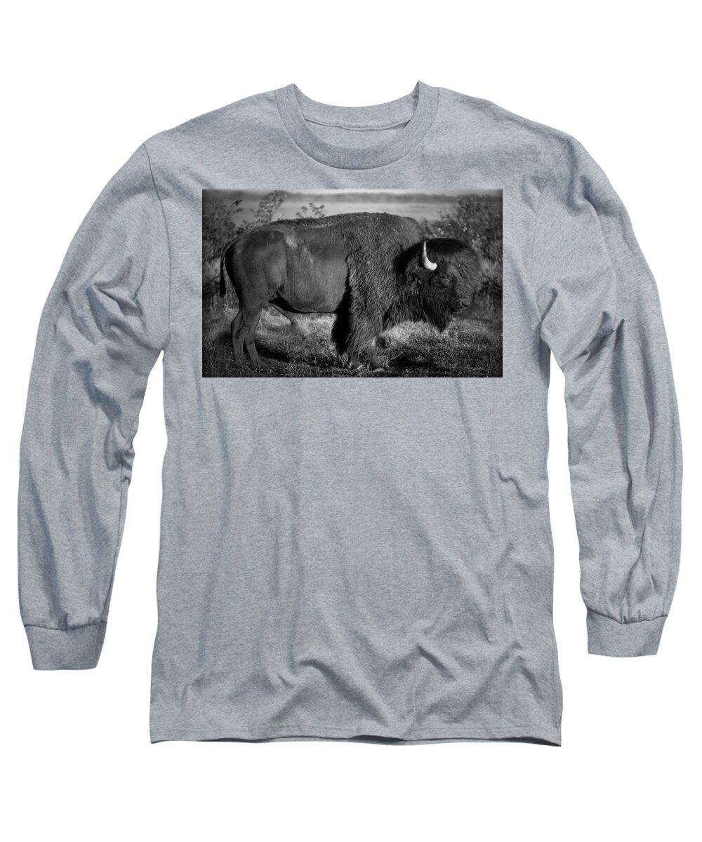 Bison Long Sleeve T-Shirt featuring the photograph Bison bull by Jeff Phillippi