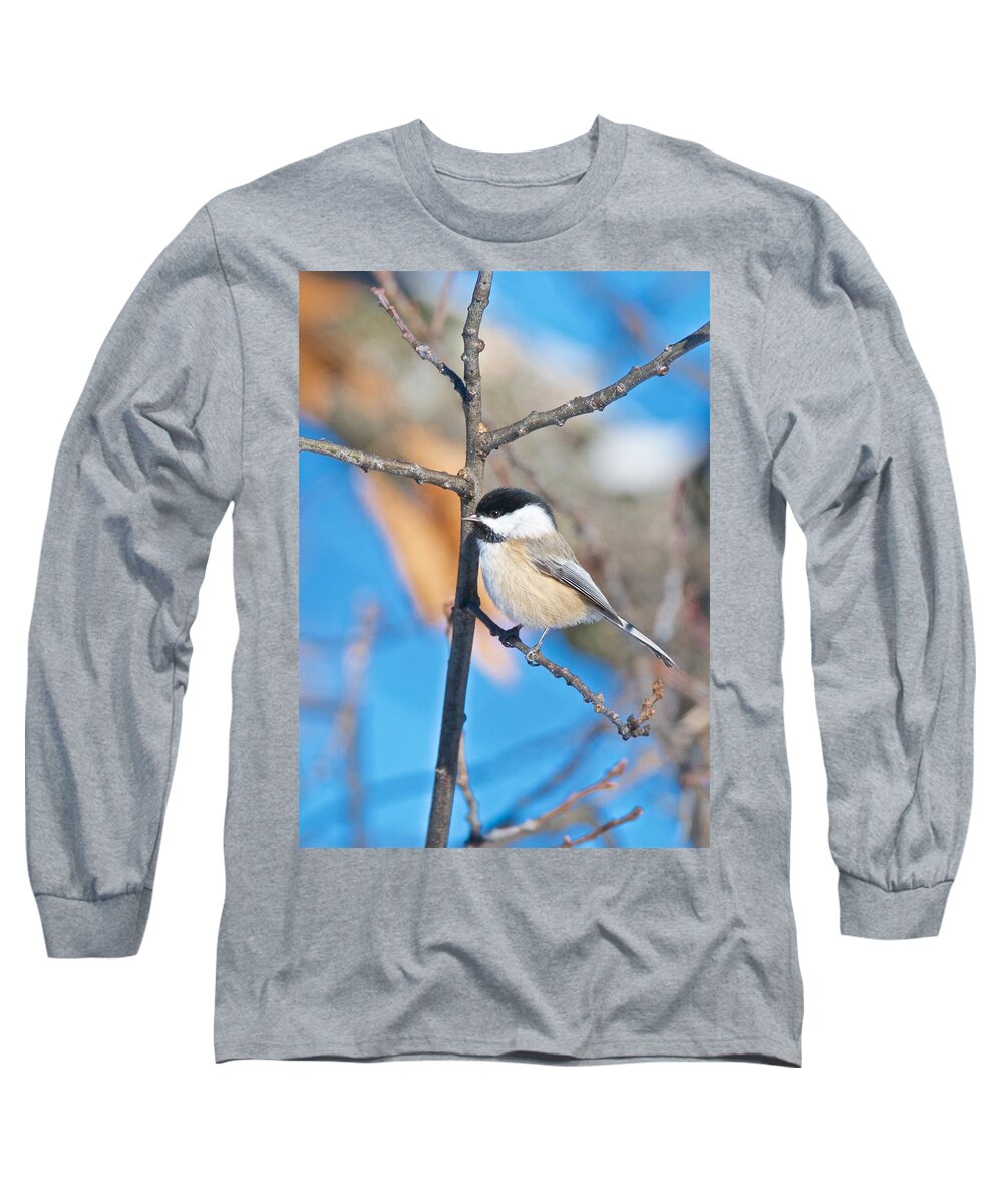 Tagspoecile Long Sleeve T-Shirt featuring the photograph Black Capped Chickadee 1140 by Michael Peychich