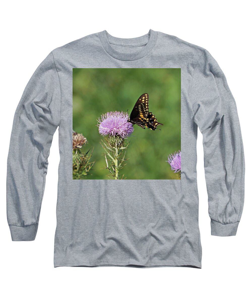 Butterfly Long Sleeve T-Shirt featuring the photograph Black Swallowtail Butterfly by Sandy Keeton