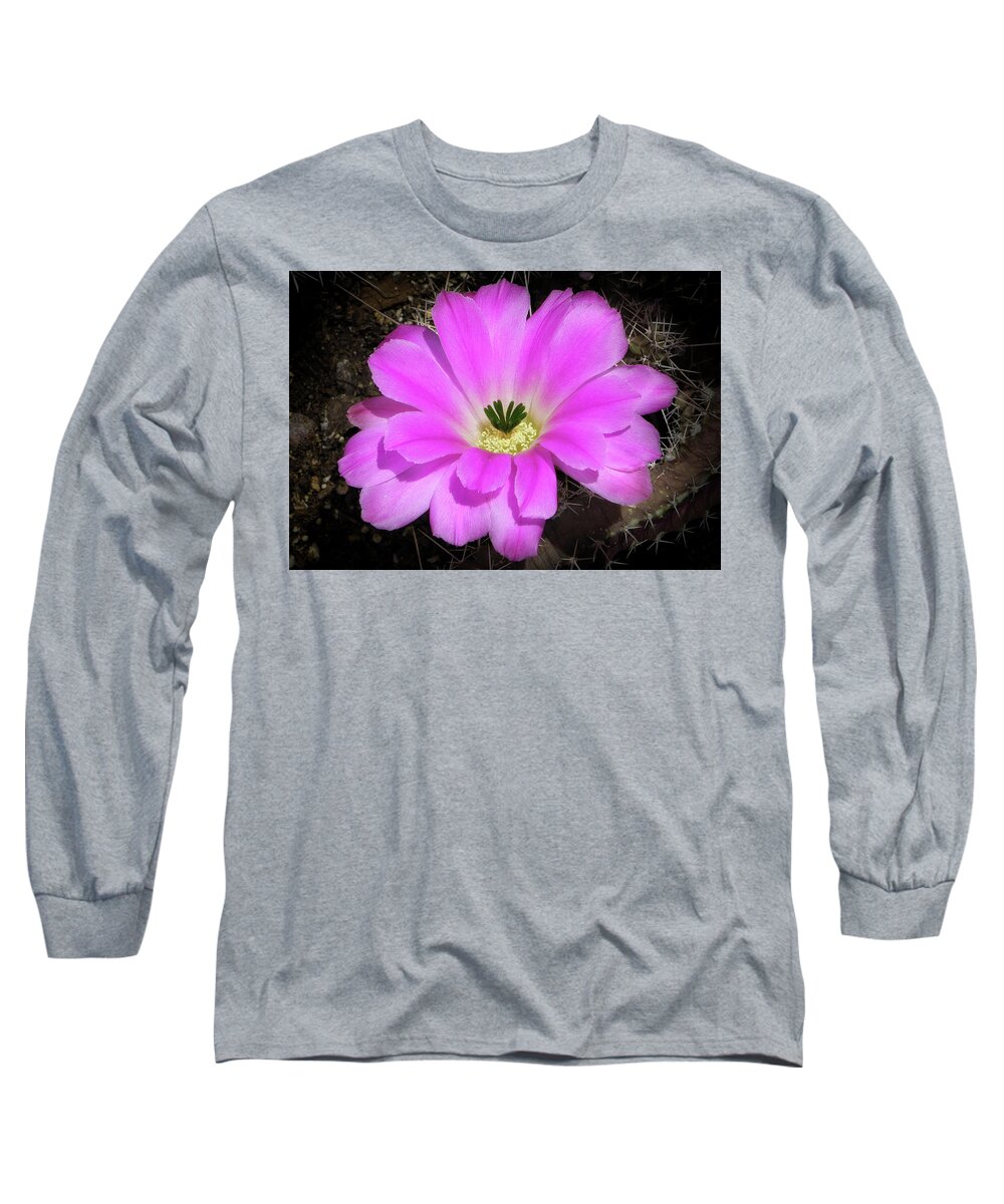 Flowers Long Sleeve T-Shirt featuring the photograph Blooming Pink by Elaine Malott