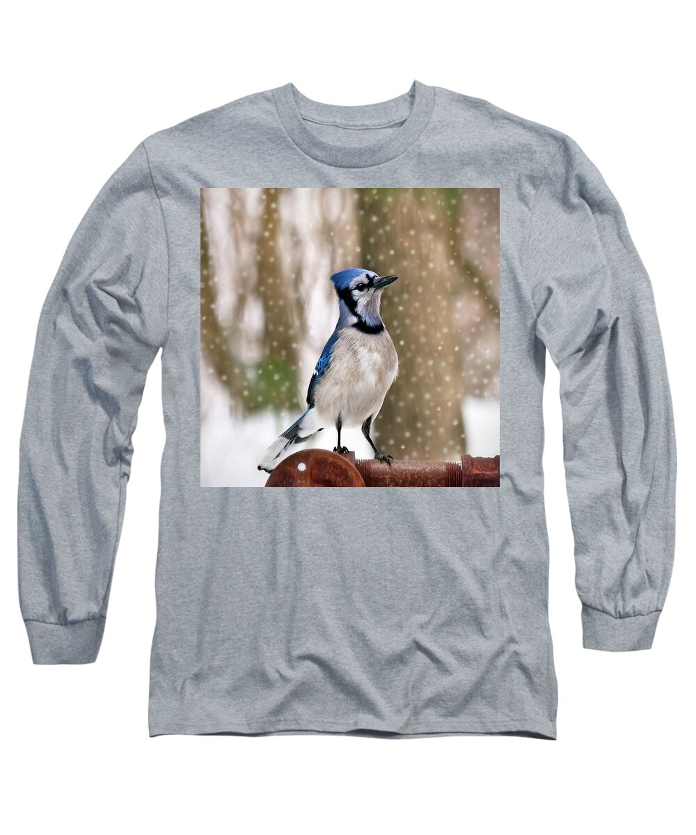 Blue Long Sleeve T-Shirt featuring the photograph Blue For You by Evelina Kremsdorf