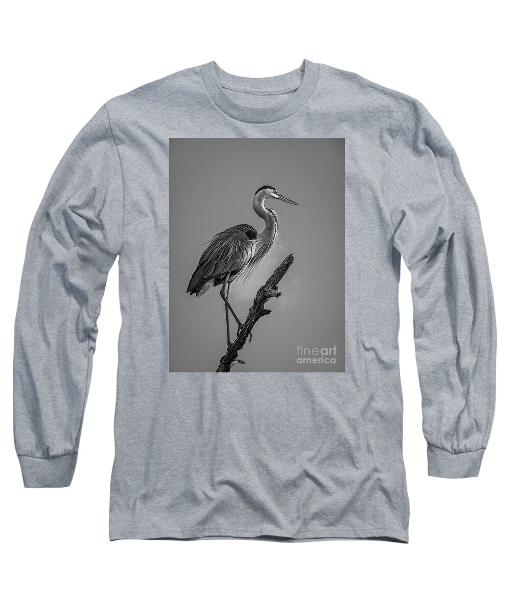 Cove Long Sleeve T-Shirt featuring the photograph Blue In Black-BW by Marvin Spates