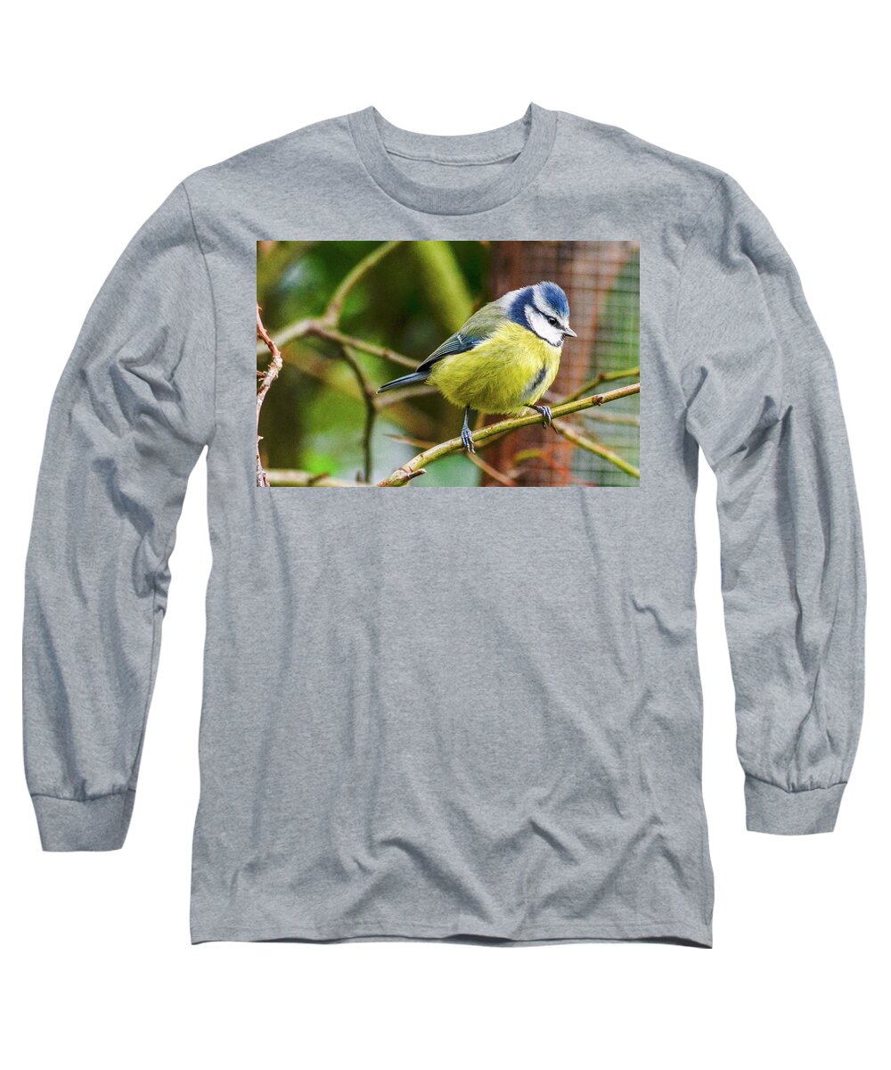 Bird Long Sleeve T-Shirt featuring the photograph Blue Tit by Joe Ormonde
