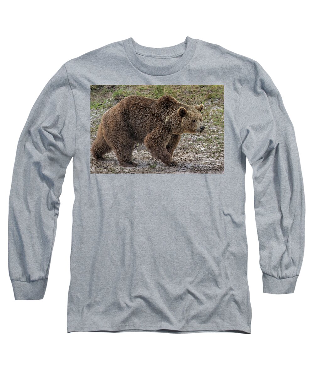 Brown Bear Long Sleeve T-Shirt featuring the digital art Brown Bear 6 by Larry Linton