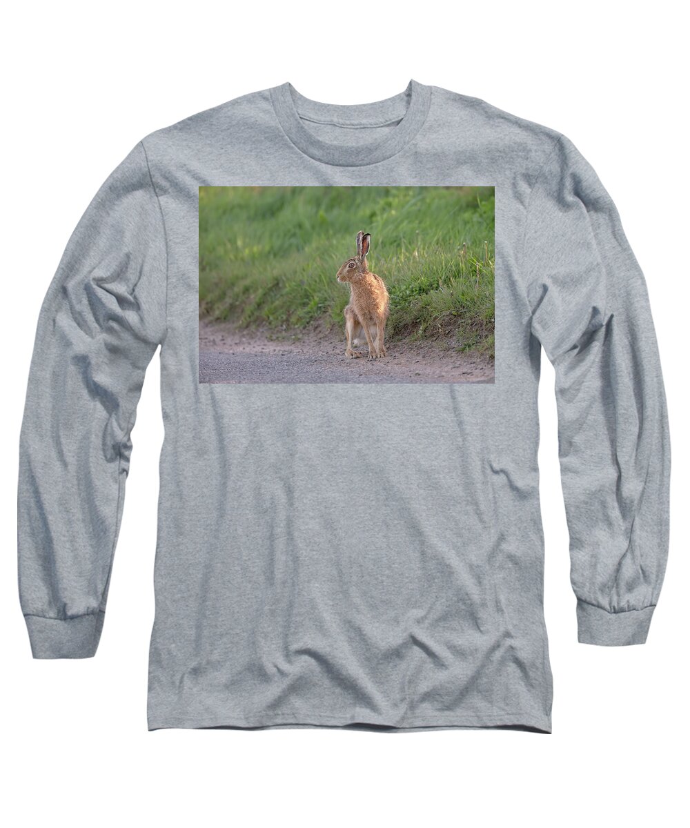 Brown Long Sleeve T-Shirt featuring the photograph Brown Hare Listening by Pete Walkden