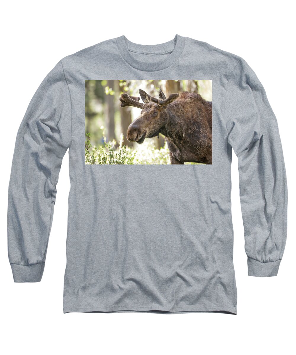 Moose Long Sleeve T-Shirt featuring the photograph Bull Moose by Eilish Palmer