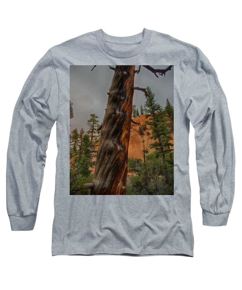 Burned Long Sleeve T-Shirt featuring the photograph Burned by Phil Abrams
