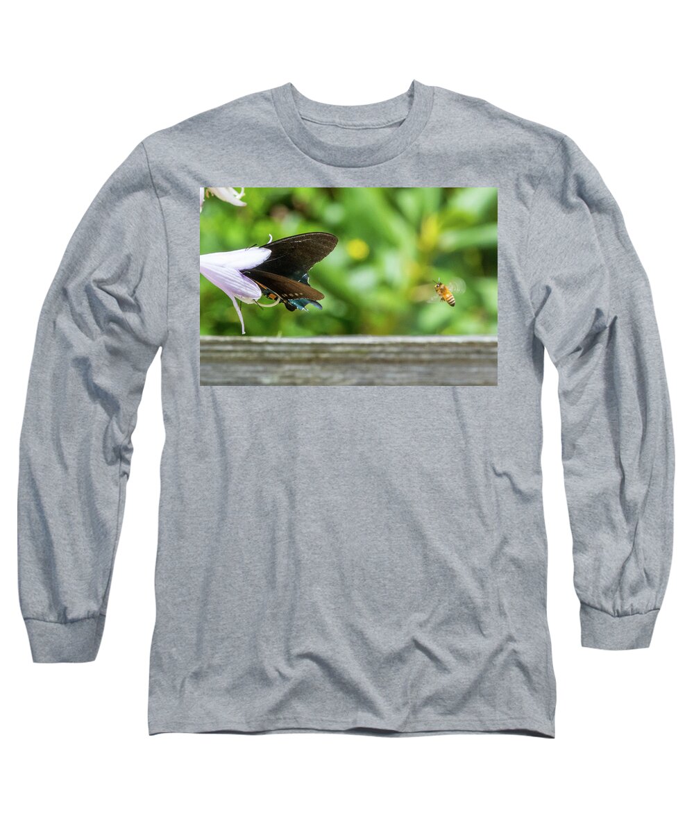 Butterfly Long Sleeve T-Shirt featuring the photograph Butterfly and Bee by D K Wall
