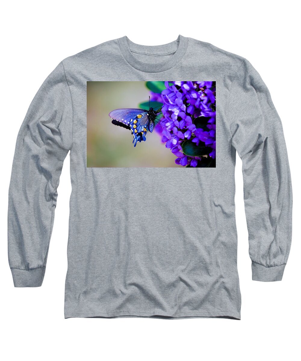 Butterfly Long Sleeve T-Shirt featuring the photograph Butterfly on Mountain Laurel by Debbie Karnes