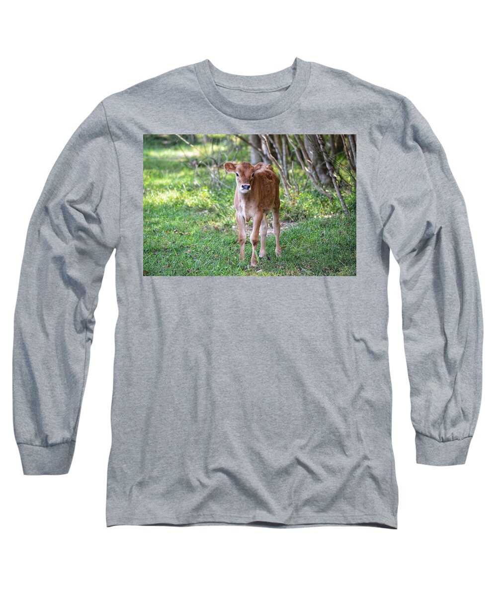 Calf Long Sleeve T-Shirt featuring the photograph Calf by Joseph Caban